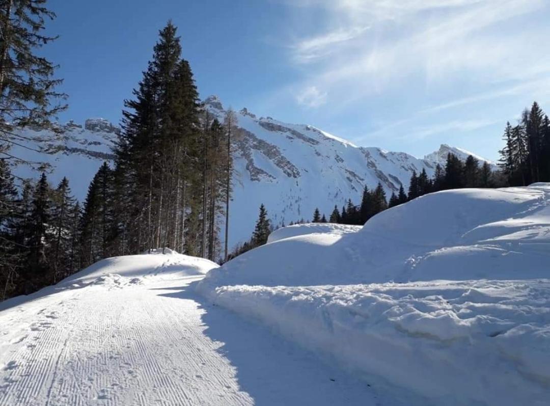 Апартаменты Il Terrazzo Sulle Dolomiti Чибьяна Экстерьер фото